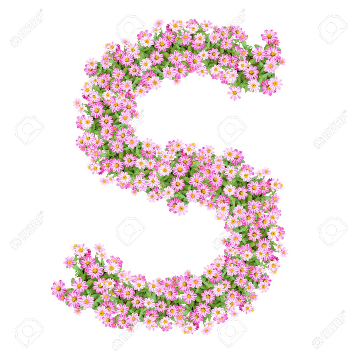 alphabet design s Bulan 1 Letter S Alphabet With Zinnia Flower ABC Concept Type As Logo